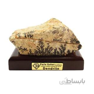 سنگ راف شجر فسیلی (دندریتی ) کد 3611 ا قیمت به شرط خرید تیمی