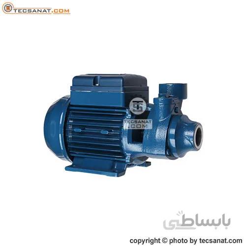 پمپ پنتاکس 0.5 اسب محیطی مدل PM45 IR