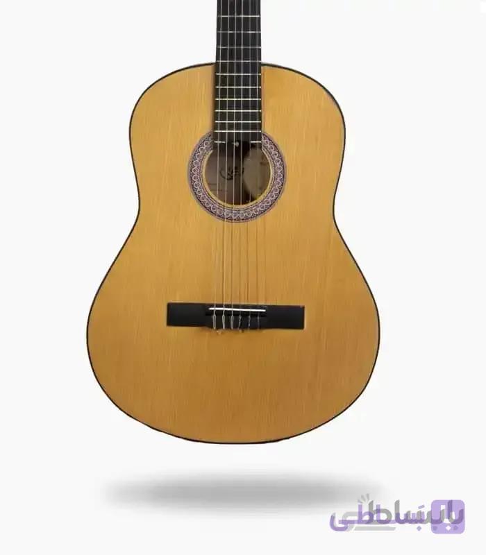 گیتار آراکس جی2