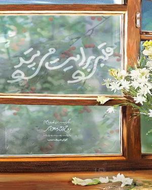 کتاب قلبی برایت می تپد