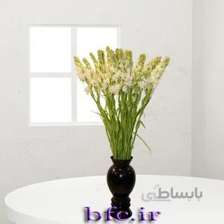 یک شاخه گل مریم