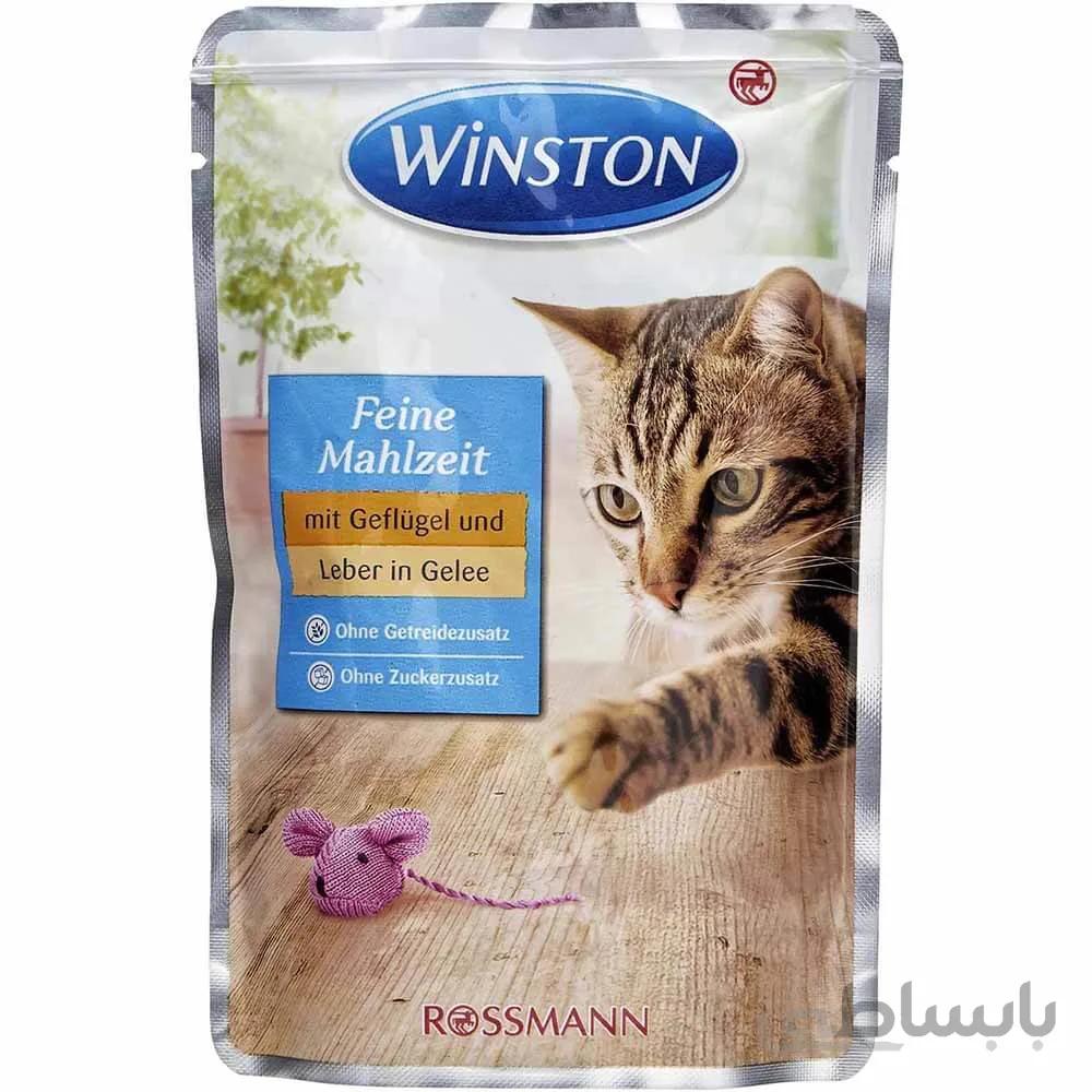 پوچ گربه وینستون Winston مدل مرغ و جگر بسته 100 گرمی