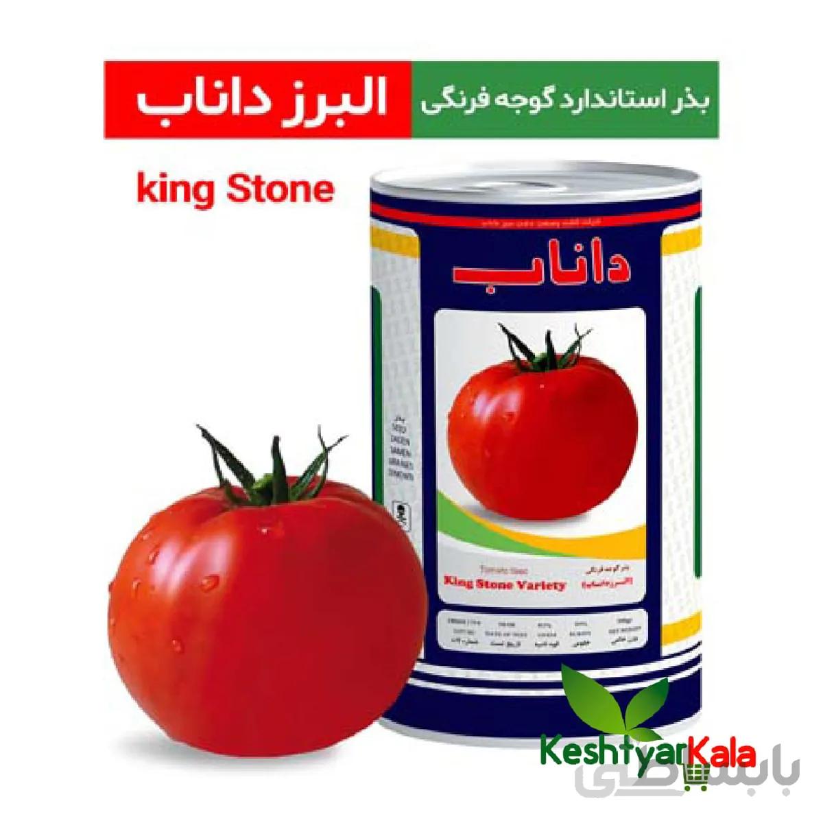 بذر گوجه داناب رقم البرز