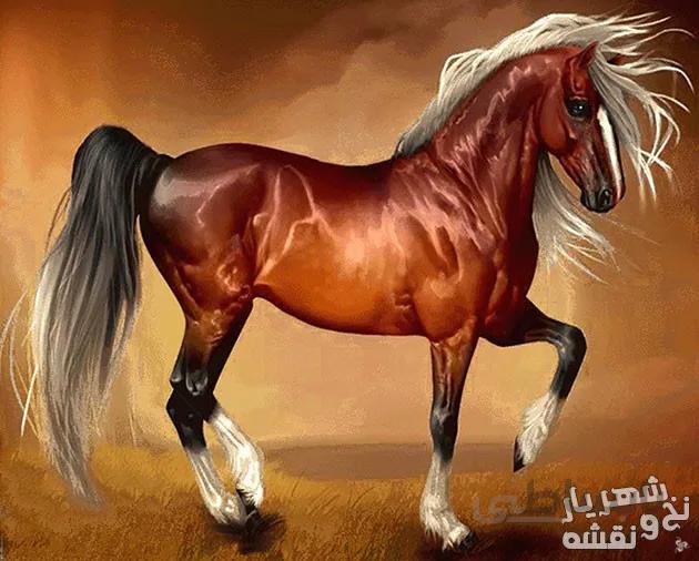 نخ و نقشه و لوازم بافت تابلو فرش اسب کد 1317