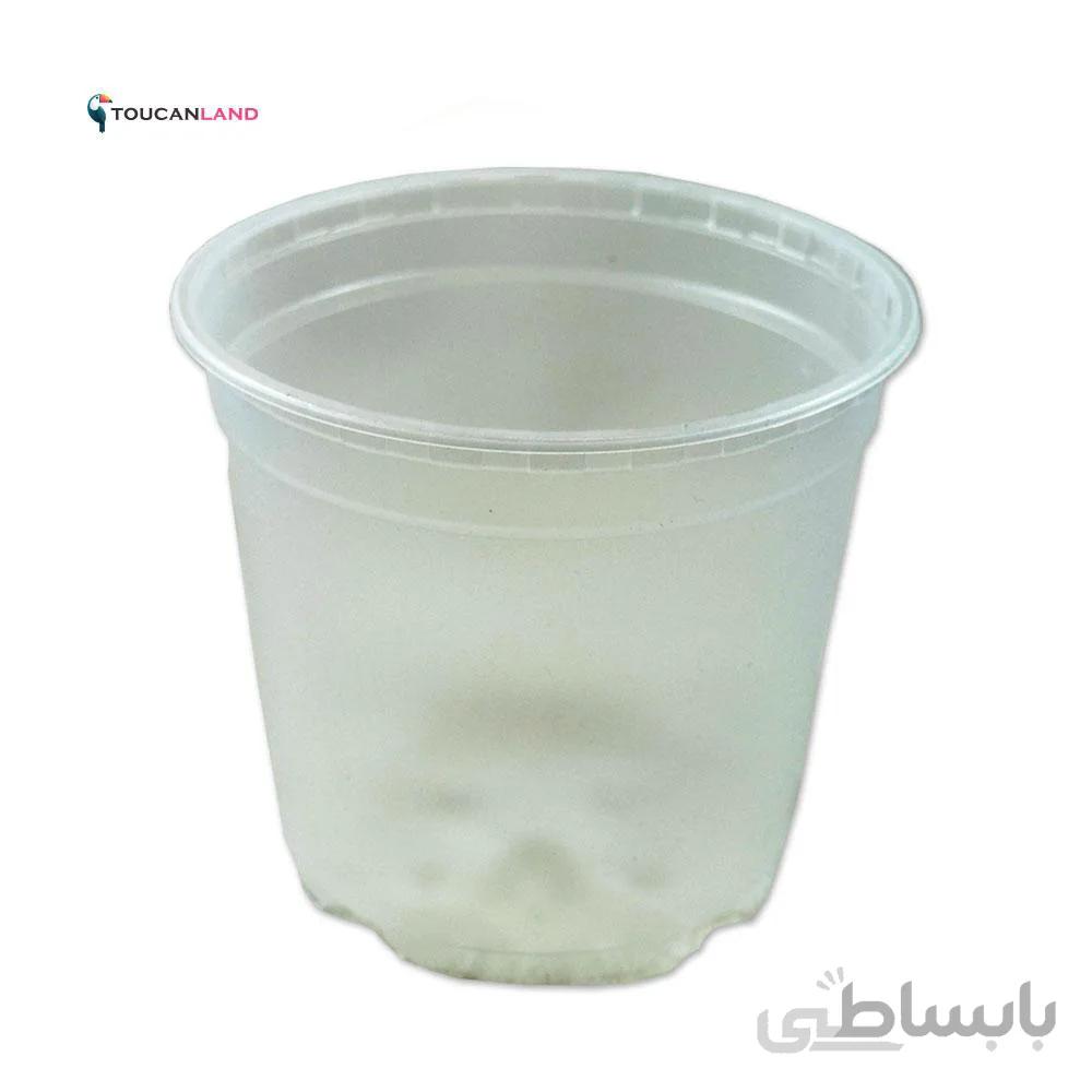 گلدان ژله ای بی رنگ سایز 13 بلند بسته 10 تایی