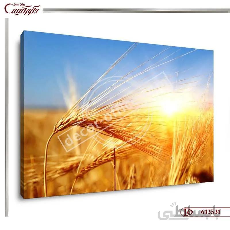 تابلو گندم زار 3531 ا Wheat field table 3531