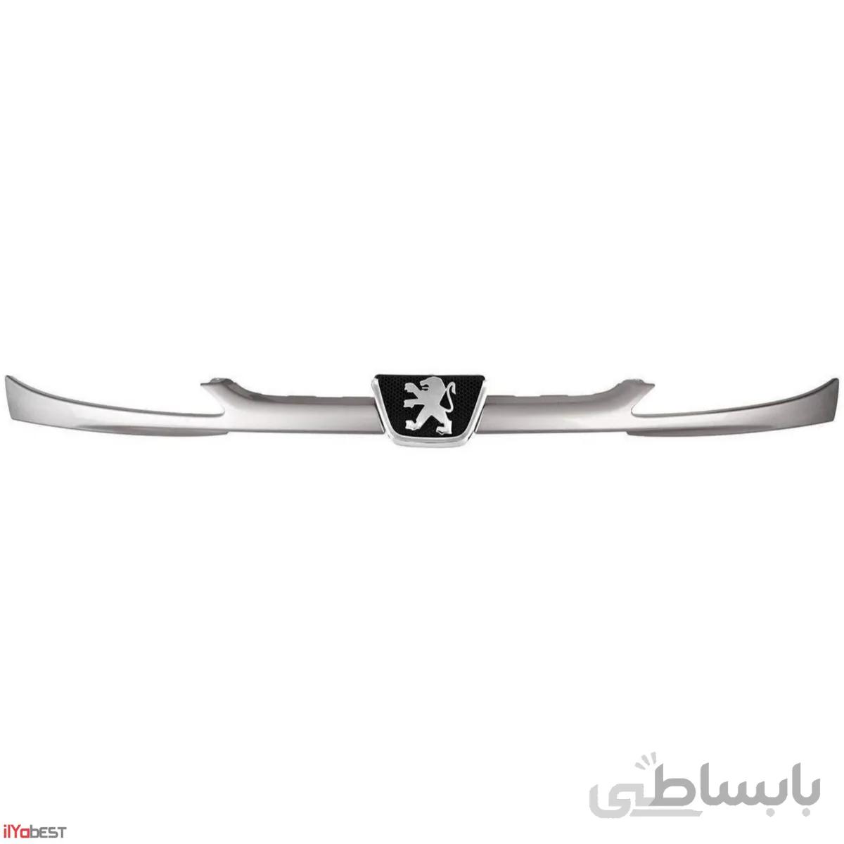 جلو پنجره 206