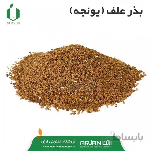 بذر علف (یونجه)