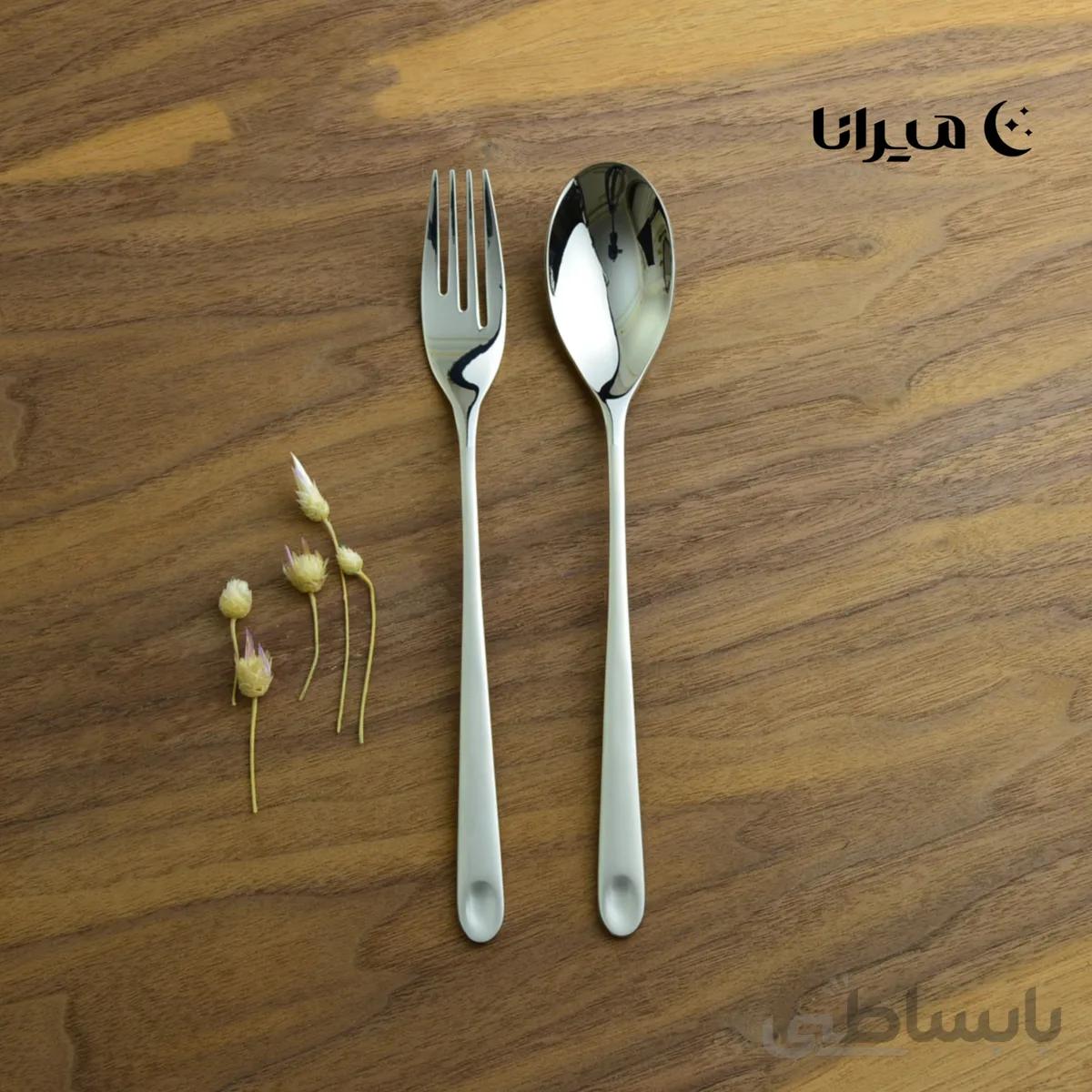 سرویس قاشق و چنگال ۳۰ نفره دسته مات سیلور برند رزنباخ مدل تایپه