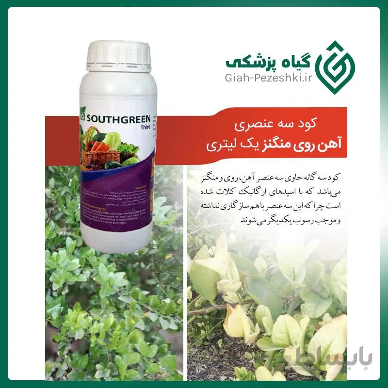 کود سه گانه کلات شده (روی ، آهن و منگنز) South Green یک لیتری