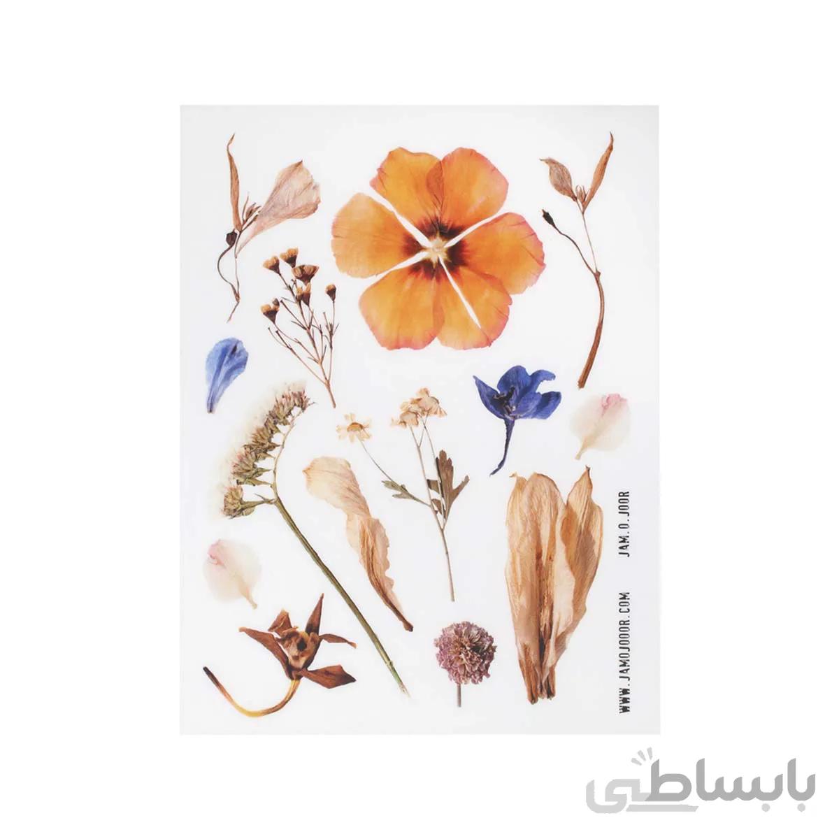 برچسب شفاف جمع و جور طرح Dry Flower