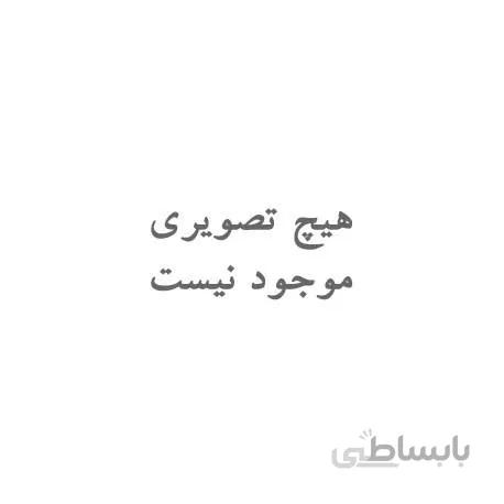 آیسی AM29F800BB