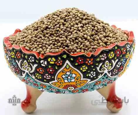 شاه دانه بوداده