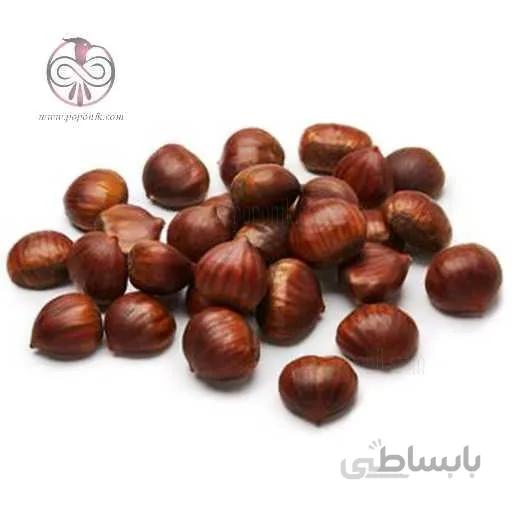 نهال شاه بلوط شیرین