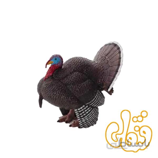 بوقلمون نر Male Turkey 387285