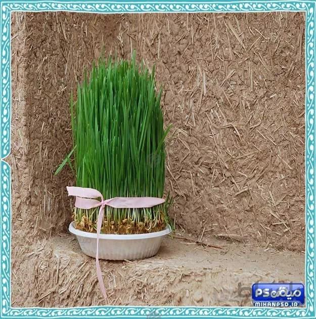 بک گراند سبزه نوروز