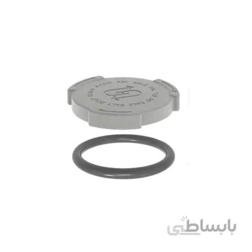 درب مخزن نمک ظرفشویی بوش با کد :۰۰۶۱۱۳۱۹