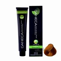 رنگ مو گانسا شماره 9.8 رنگ بلوند عسلی خیلی روشن ا GANECA Hair Color Cream Lightest Honey Blonde No:H9_9.8