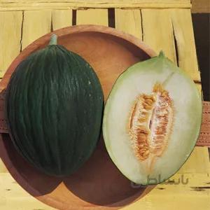 بذر ملون فرانسوی پوست تیره