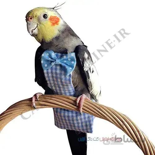 پوشک پرنده