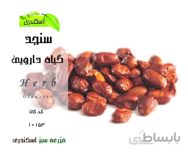 سنجد