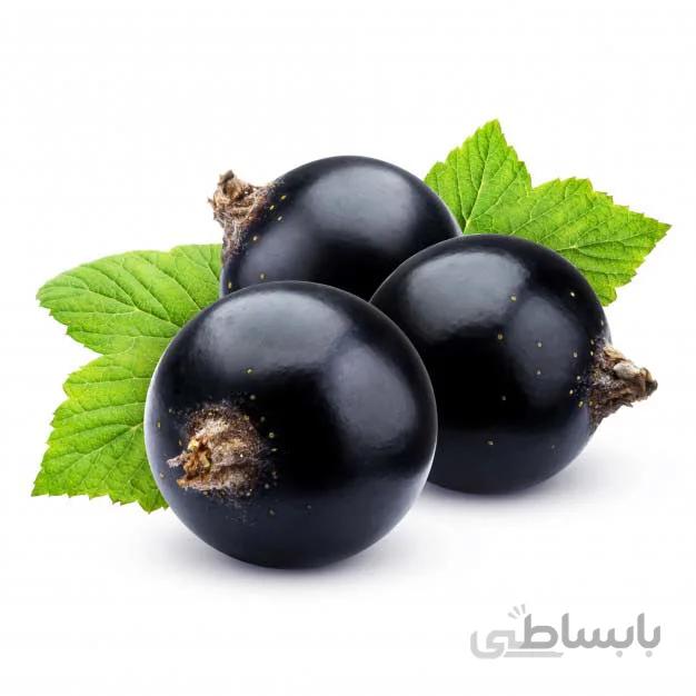 بذر کارنت انگور فرنگی مشکی