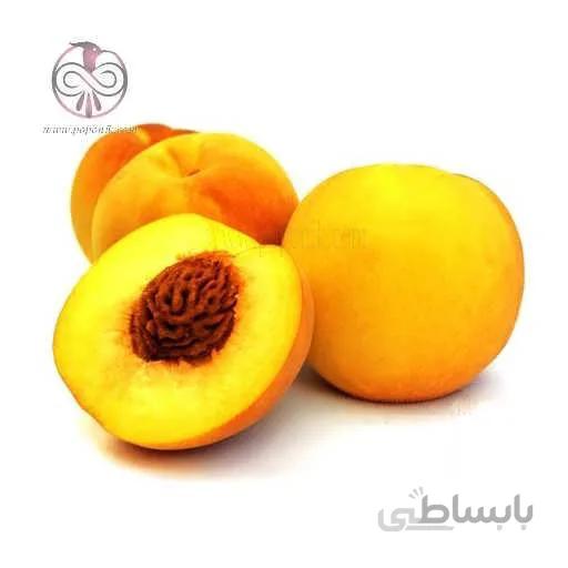 نهال هلو زعفرانی گلدانی