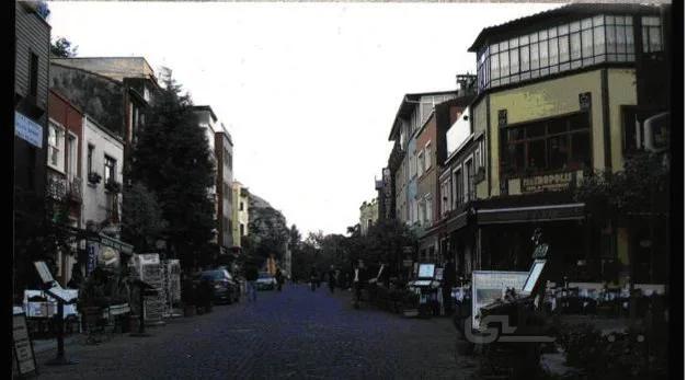 جین جیکوب