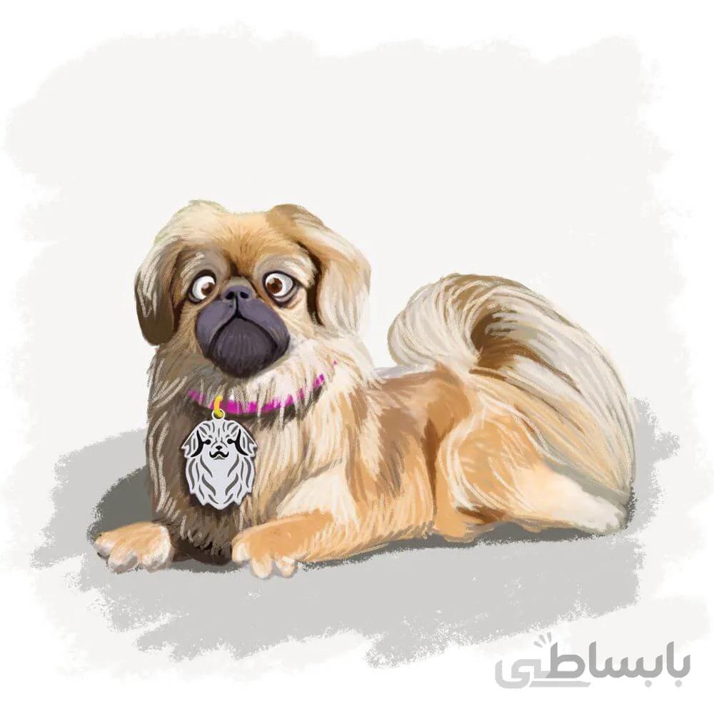 اویز قلاده استیل طرح سگ نژاد 15 کد CD 15 ا Steel Tag Dog Breed 15 Model CD-15