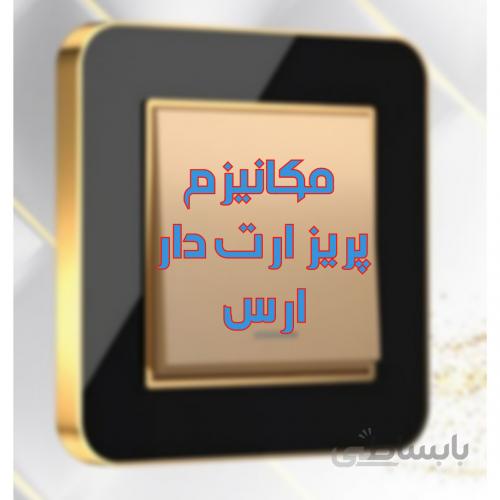 مکانیزم پریز ارت دار مدل ارس مشکی طلایی