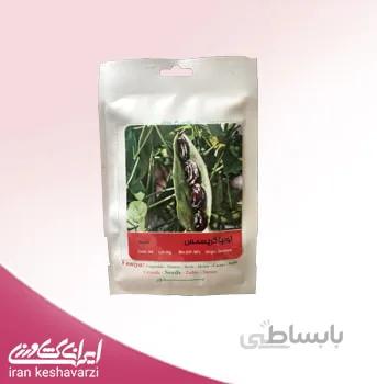 لوبیا کریسمس
