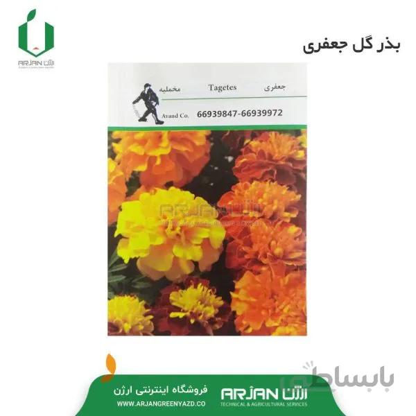 بذر گل جعفری