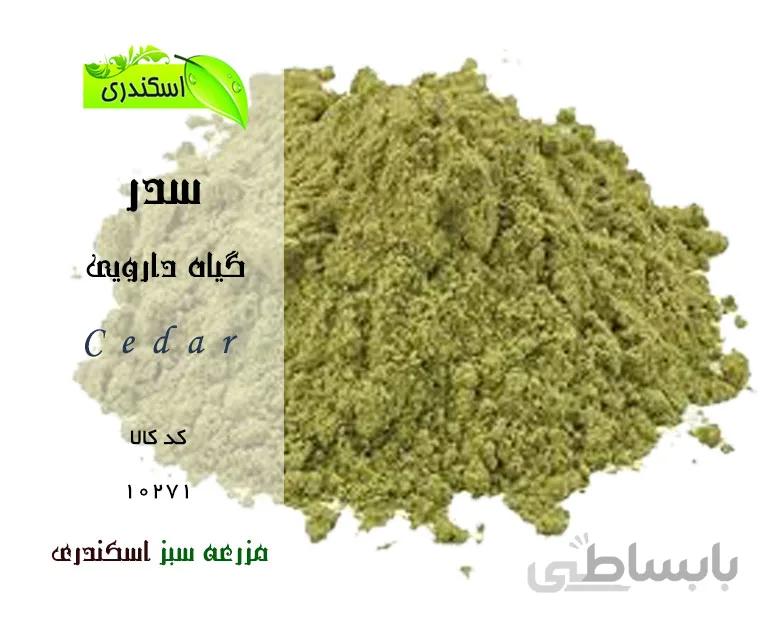 سدر