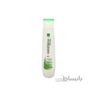 شامپو ضد شوره و تقویت کننده حاوی جینسینگ هیدرودرم ا Anti Dandruff Hair care Shampoo 250ml HYDRODERM