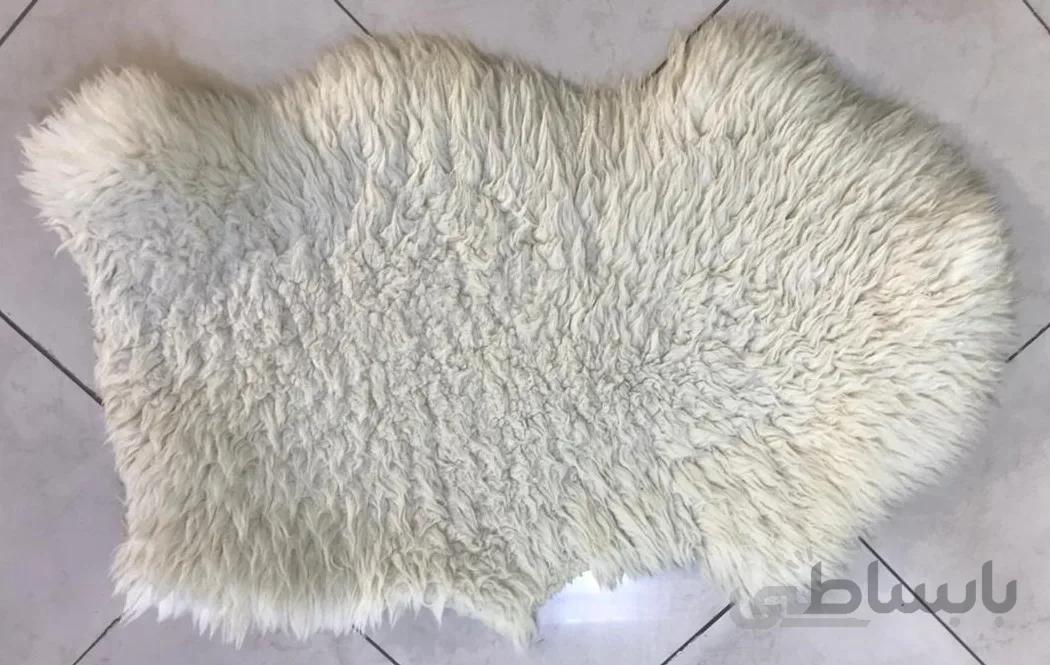 پوست گوسفند مرینوس سفید ا cow skin