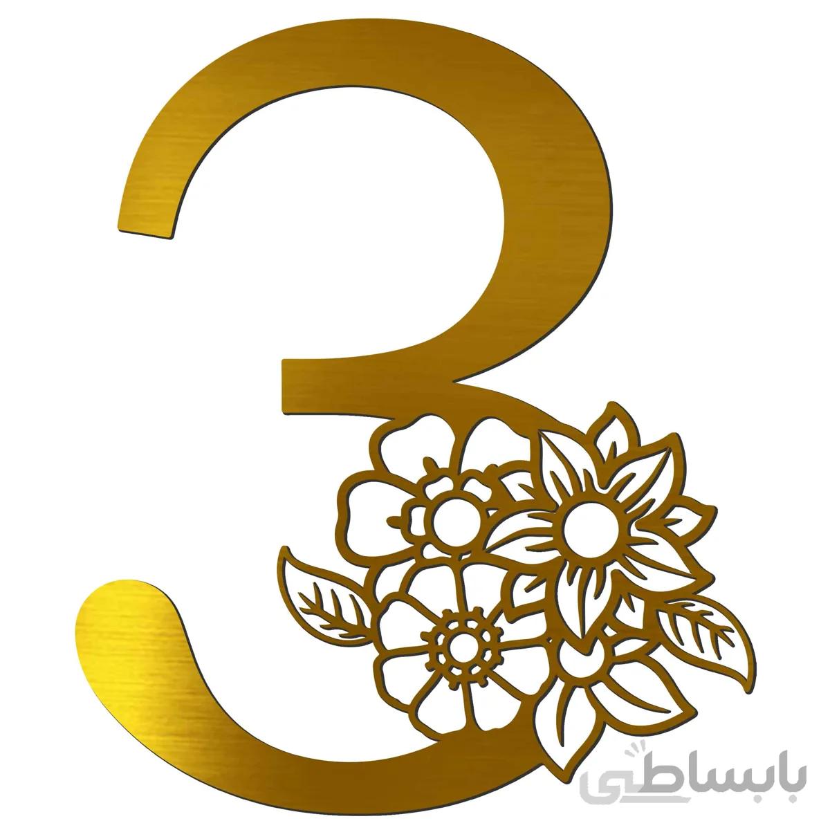 آیینه پلکسی گلس فروشگاه آژنگ مدل اعداد گل دار طرح عدد سه (کد14635214)