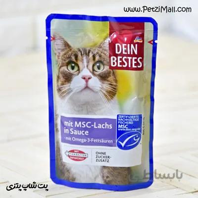 پوچ گربه داین بست طمع ماهی سالامون ساخت آلمان وزن ۱۰۰ گرم کد ۳۱۵