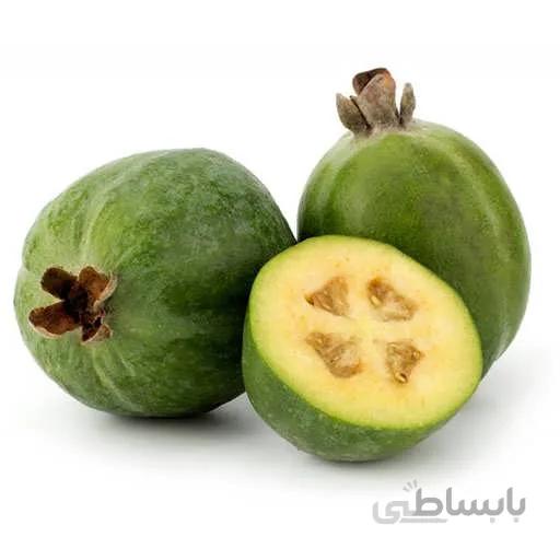 بذر درخت فوجیا