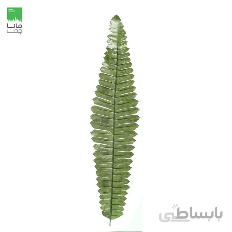 گياه مصنوعی مدل سرخس كتابي -بسته 10 عددی