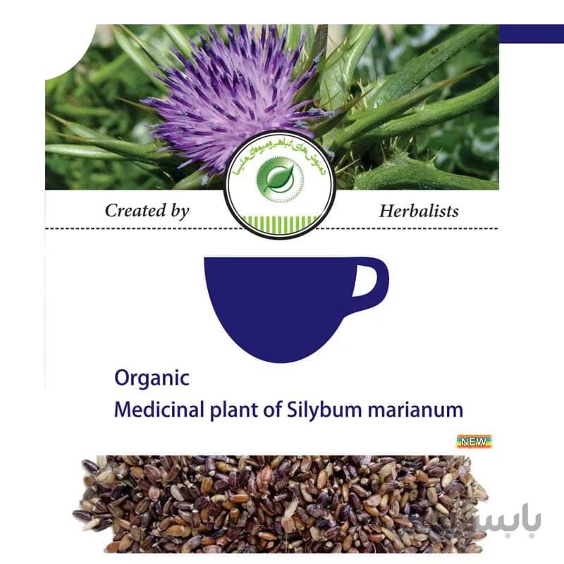 دمنوش گیاهی خارمریم-ماریتیغال(رفع مسمومیت کبد ، درمان میگرن، موثر در کبد چرب) ا Organic Medicainal Plant of Silybum marianum
