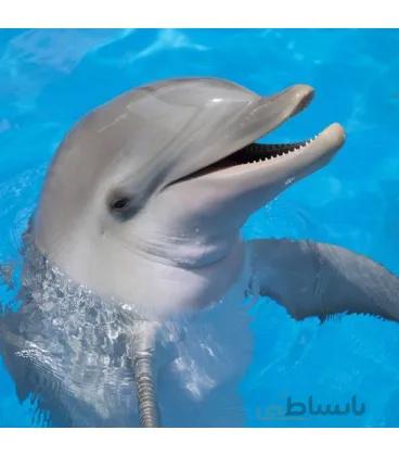 کفپوش سه بعدی آسانسور طرح دلفین