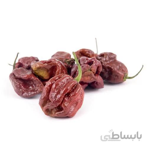 بذر فلفل شکلاتی