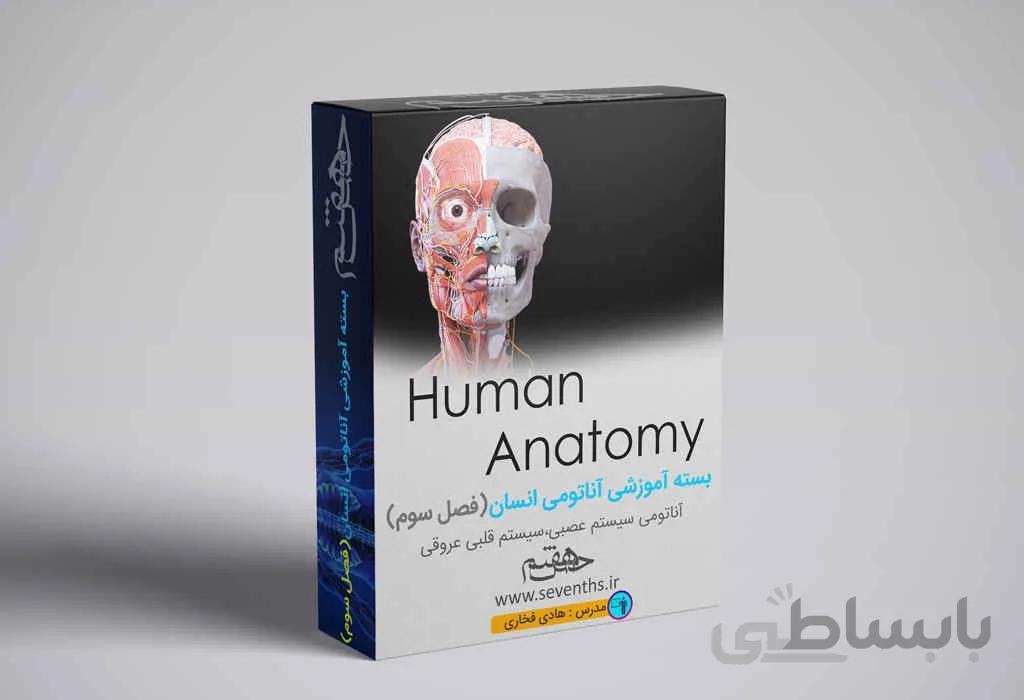دوره آموزش مجازی آناتومی انسان (فصل سوم)