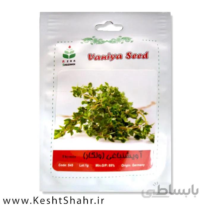 بذر آویشن