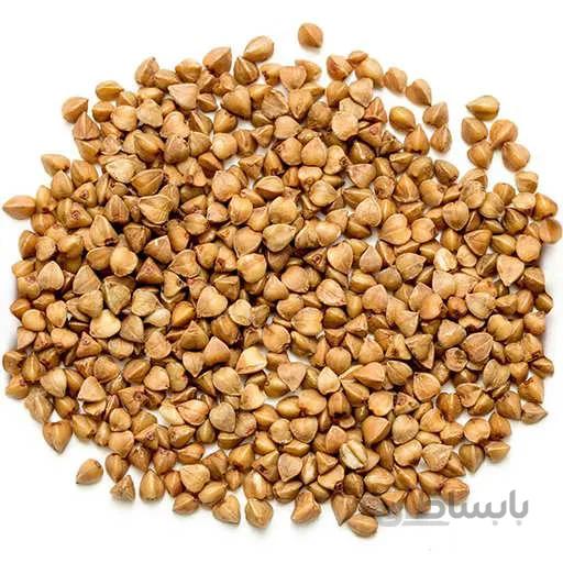 بذر گندم سیاه