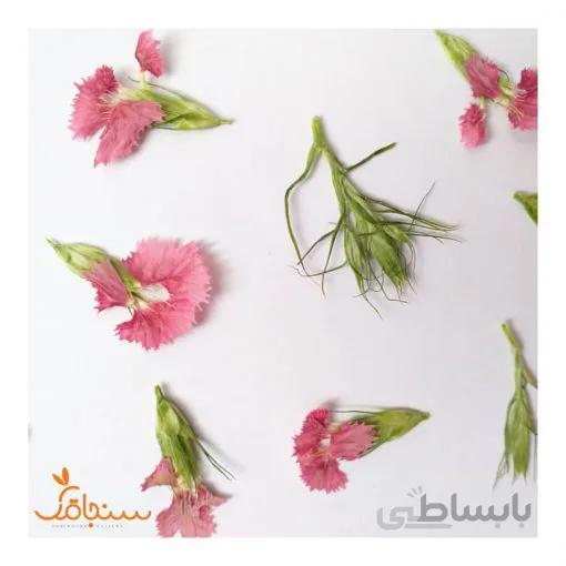 بسته۵تایی سوییت ویلیام پرس شده
