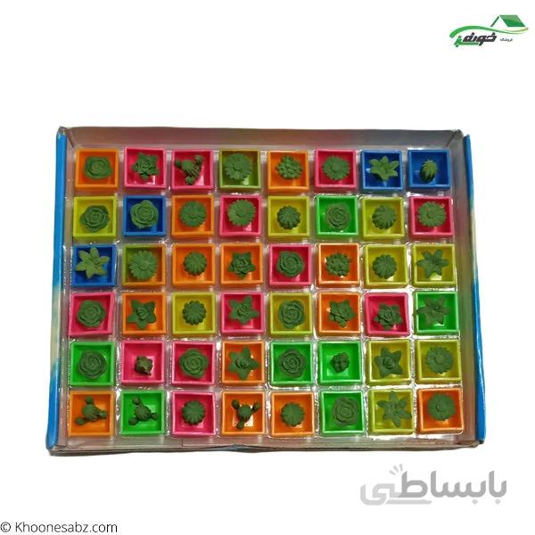 کاکتوس جادویی کوچک2 -21210