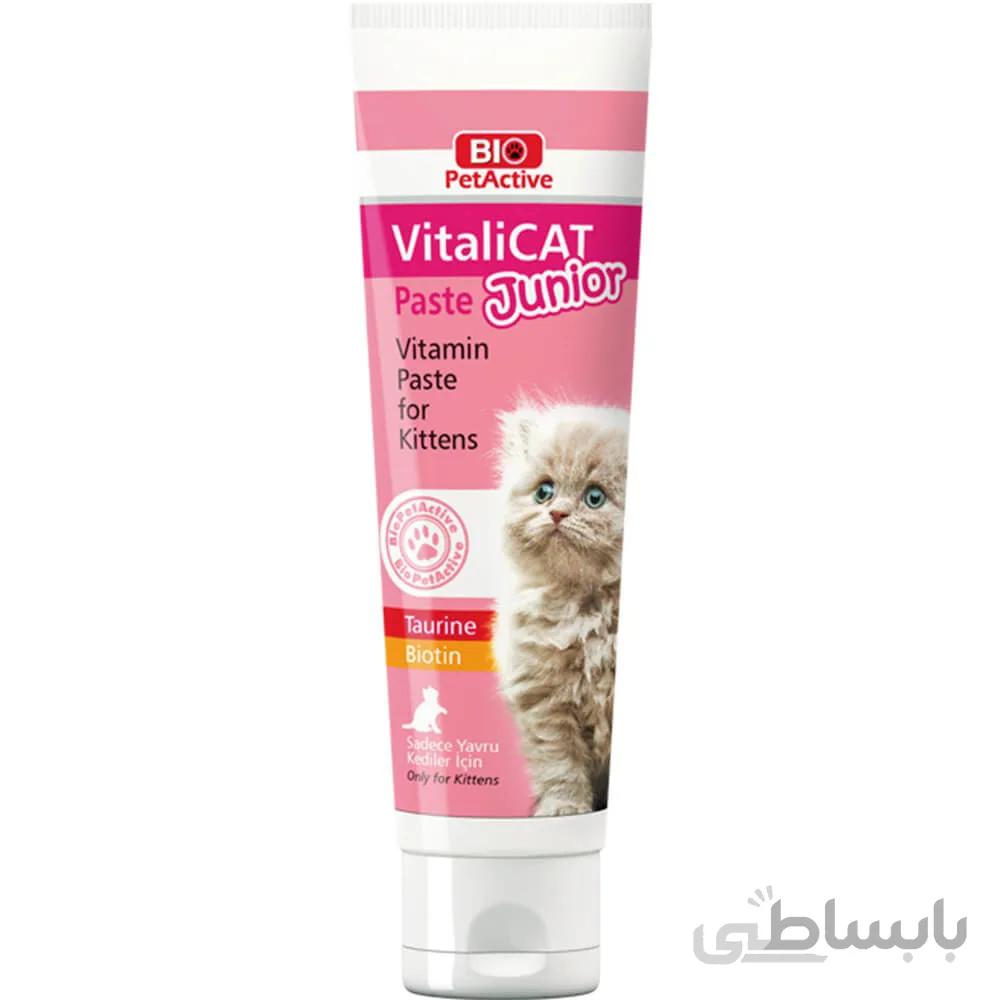 خمیر مولتی ویتامین بچه گربه بایوپت اکتیو وزن ۱۰۰ گرم ا Biopet Multivitamin Paste for Kitten 100g
