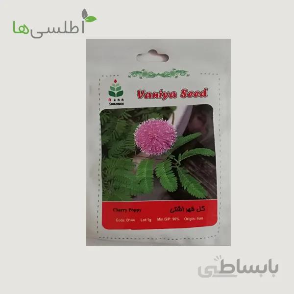 بذر گل قهر و آشتی