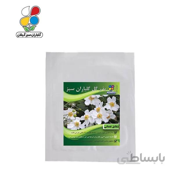 ( بسته 24 عددی ) بذر گل شقایق نعمانی بسته بندی بزرگ